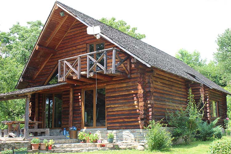 preview arhitecture project log house